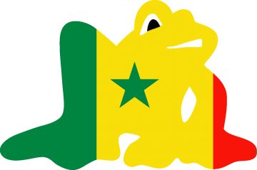 Senegal Frosch